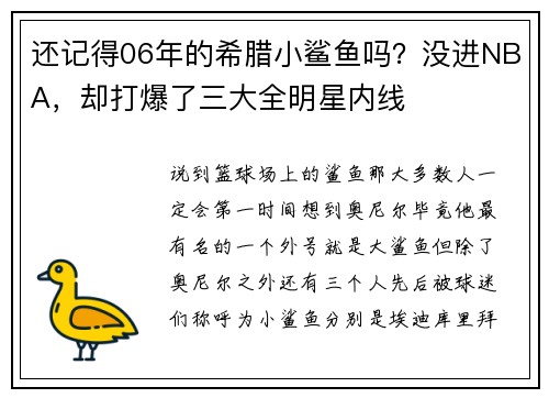 还记得06年的希腊小鲨鱼吗？没进NBA，却打爆了三大全明星内线
